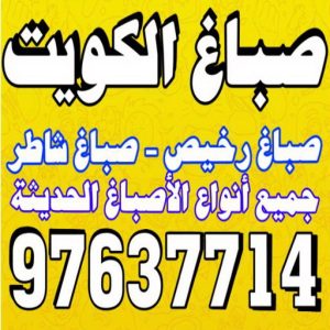 مقاولات عامة