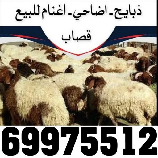 2 المنيوم الكويت – فني المنيوم - ذوالفقار احمد📞97375178 - المنيوم - شتر - تركيب مطابخ - فني شتر - تركيب شتر - تصليح شتر - تصليح مطبخ - معلم المنيوم - فني المنيوم الكويت