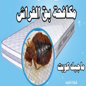 مكافحة بق مكافحة حشرات الفروانية - مكافحة حشرات وقوارض الفروانية - مكافحة حشرات 50464050 - شركة حشرات - شركة مكافحة حشرات - مكافحة بق - مكافحة قوارض - مكافحة حشرات الكويت